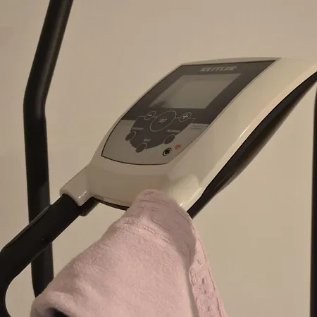 Alpina 1