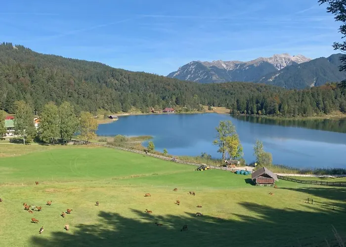 Alpina 1 Apartman